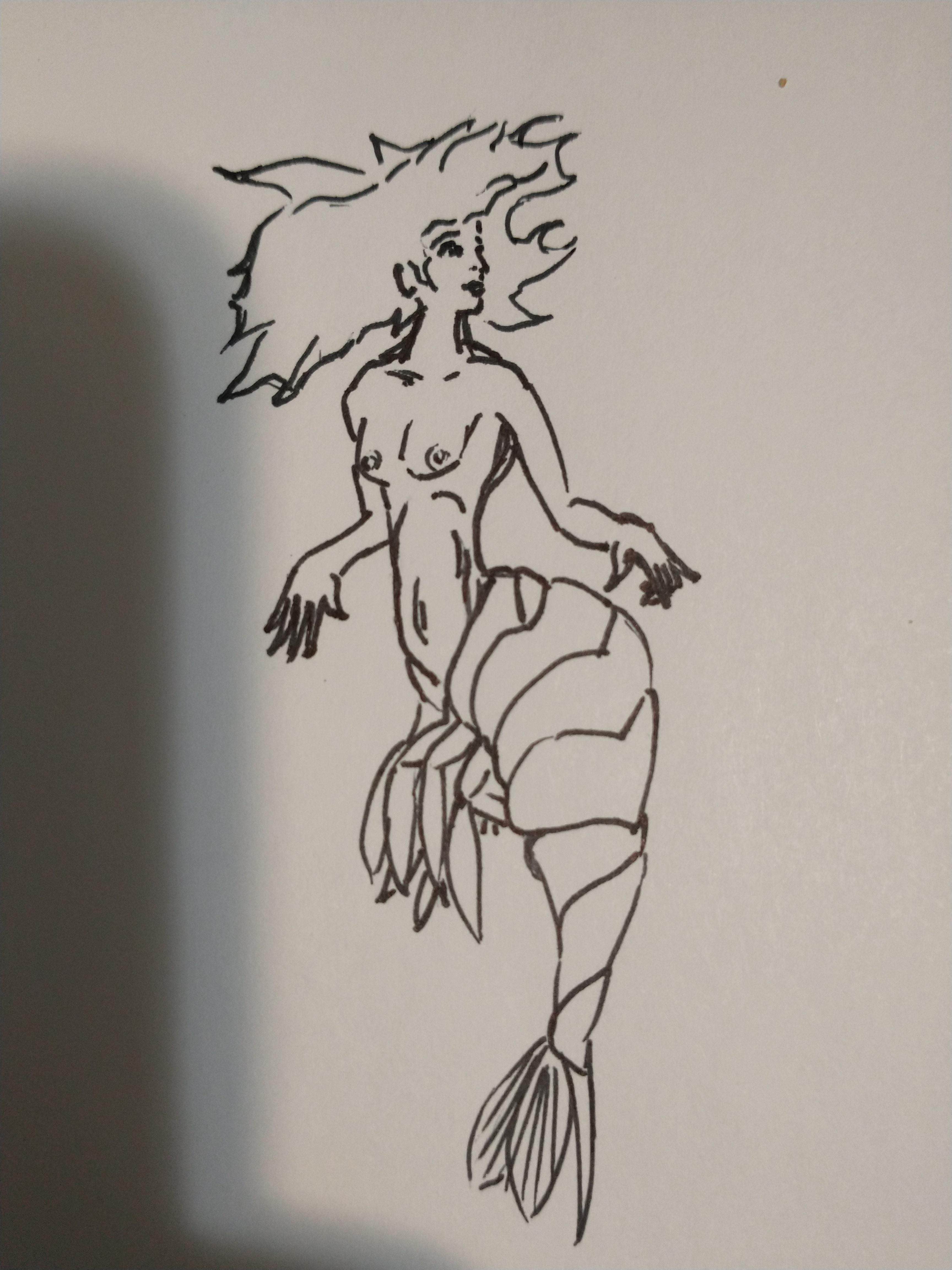 a shrimp mermaid